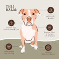 Pawtection Dog Paw Balm, Protects Paws from Hot Surfaces, Sand, Salt, & Snow, Organic, All Natural Ingredients (0.15 Oz Trial Stick)