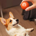 Smart Electric Ball Toy Gravity Jump Balls Dog Plaything USB Charging Automatic Teasing Dogs Artifact Intelligent Pet Cat Toys